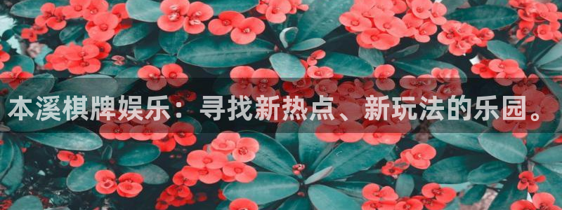 卧龙娱乐：本溪棋牌娱乐：寻找新热点、新玩法的乐园。