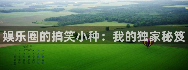 卧龙娱乐：娱乐圈的搞笑小种：我的独家秘笈