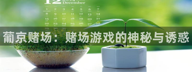 卧龙娱乐：葡京赌场：赌场游戏的神秘与诱惑