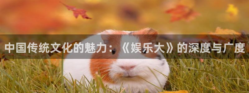 卧龙娱乐：中国传统文化的魅力：《娱乐大》的深度与广度