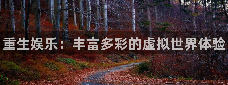卧龙娱乐怎么样：重生娱乐：丰富多彩的虚拟世界体验