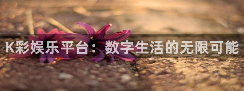 卧龙娱乐怎么样：K彩娱乐平台：数字生活的无限可能
